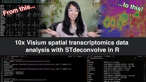 10x Visium spatial transcriptomics data analysis with STdeconvolve in R