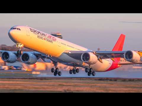 AIRBUS A340-600 DEPARTURE during SUNRISE + RARE A300 - Aviation at Maastricht (4K)