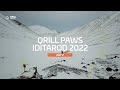 Iditarod highlight  day 2  qrillpaws 2022