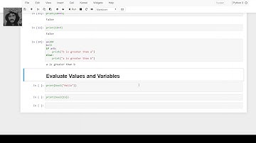 how to get or put Booleans data type in python || jupyter notebook