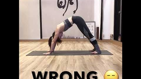 { Ming Yoga Asana Lab } Episode 7.1 - Downward Facing Dog ( #Adho Muka Savasana )