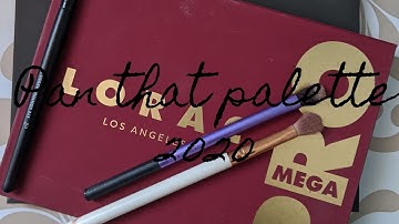 Pan That Palette 2020 // Introduction