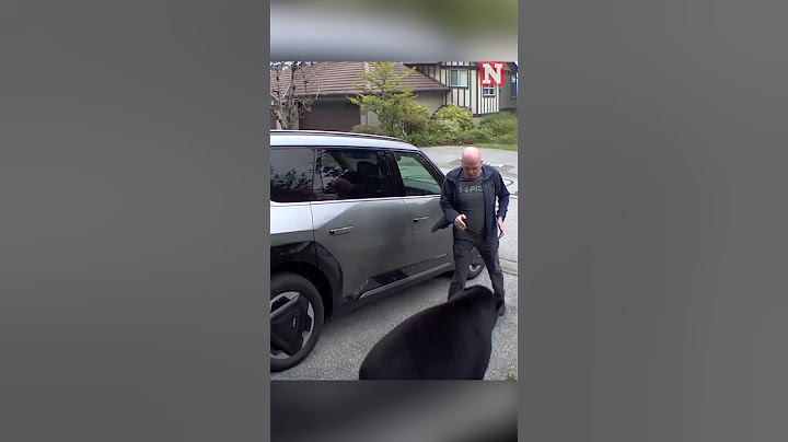 Man Keeps His Cool After Close Encounter With Bear