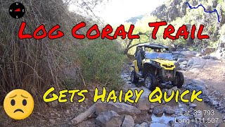 Hung Up Like Kittens On A Screen Door | Can AM Maverick Trail 2021