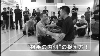 システマを深める！ 1&2 DVD DVD システマを深める！ Vol.1
