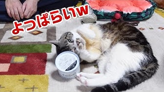 Wd0ojh3bfobi9m