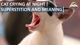 CAT CRYING AT NIGHT Superstition and Meaning - Symbolism and Message