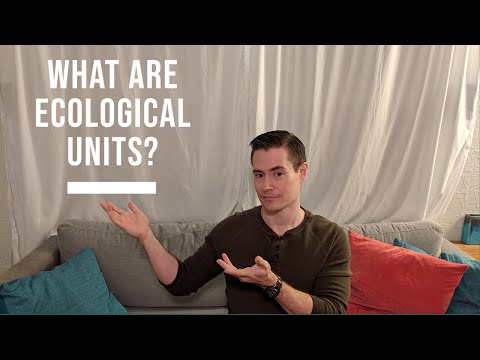 What Are Ecological Units?