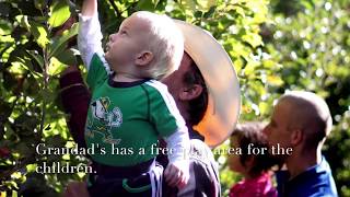 The Best Farms and Orchards Near Greenville
