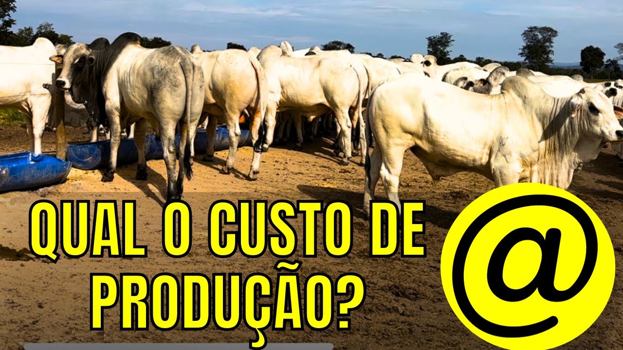 Quanto Custa Produzir 01 @ na sua fazenda?