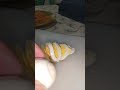 Egg cutting #shortsfeed  #viral  #dont_forget_to_like_and_subscribe #food