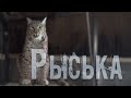 Рыська