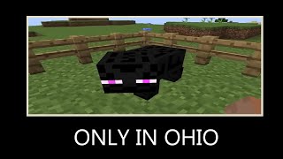 ▼Minecraft Ohio 💀