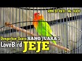 Lovebird Konslet Jeje Juara Di Tiket Utama One Day Kacer Show Glagah Waru Demak Mr Yudy Rpm Sf Mp3 - Mp4 Download