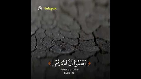 تلاوة تلامس ❤️القلب للقارئ طارق محمد ما شاء الله