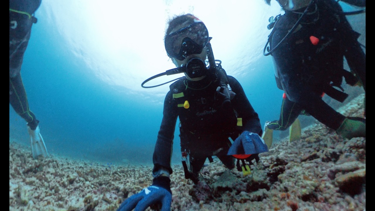 【360度映像】ダイビング@石垣島 Part5/5 竹富島鳥居前 2025/7/6 前半