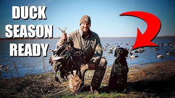 249. From Hunt Tests to Duck Season | Lone Duck Q&A