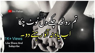 Tum Rooth Chuke Dil Toot Chuka Ab Yaad Na Aao | Bin Pathan