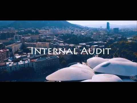 შიდა აუდიტის გუნდი 2017 / Internal Audit Crew 2017