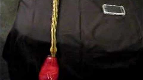 The Growth of a Tiger Reticulated Python 1 of Many