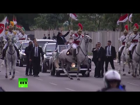 Bolsonaro v horse: Skittish animal halts Brazilian president’s motorcade