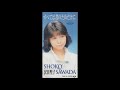 沢田聖子/すべては君のためだけに(1993)