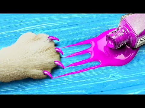 12 Paw-sitively Creative DIY Crafts & DIY Pet Hacks / Simple Life Hacks