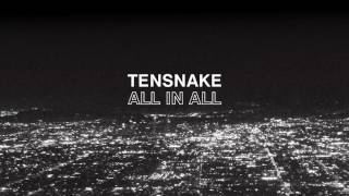 Miniatura de vídeo de "Tensnake - All In All"