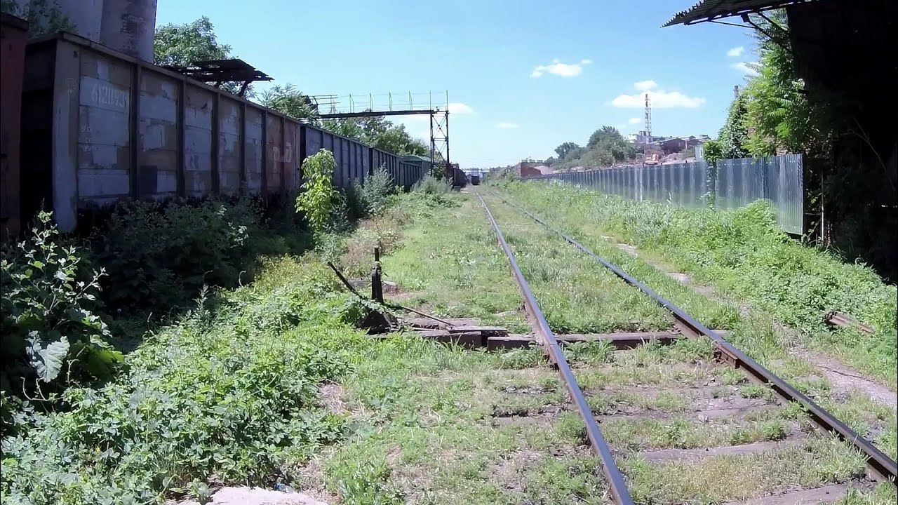 Текст нагибина заброшенная дорога