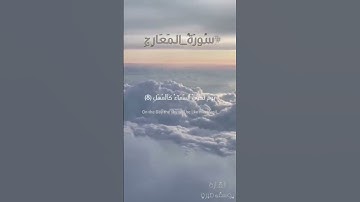 فاصبر صبراً جميلاً 😌#سورة_المعارج#قران_كريم #ارح_سمعك
