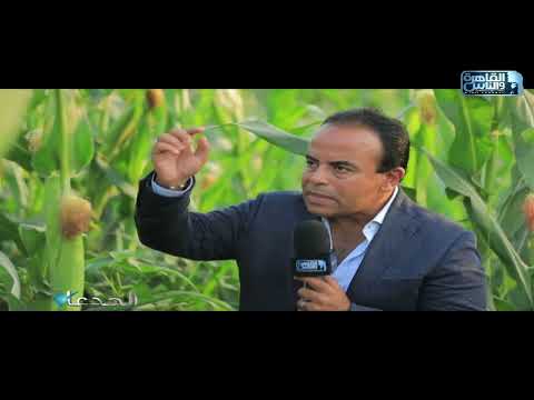 محمد عبدالسلام طبقنا نظام المصاطب في زراعة الذرة وفول الصويا على مسافات 140 سم