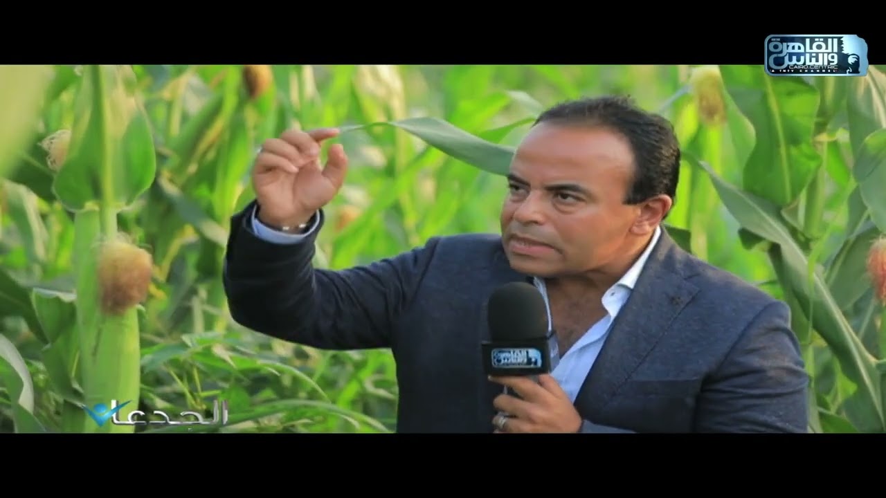 محمد عبدالسلام: طبقنا نظام المصاطب في زراعة الذرة وفول الصويا على مسافات 140 سم