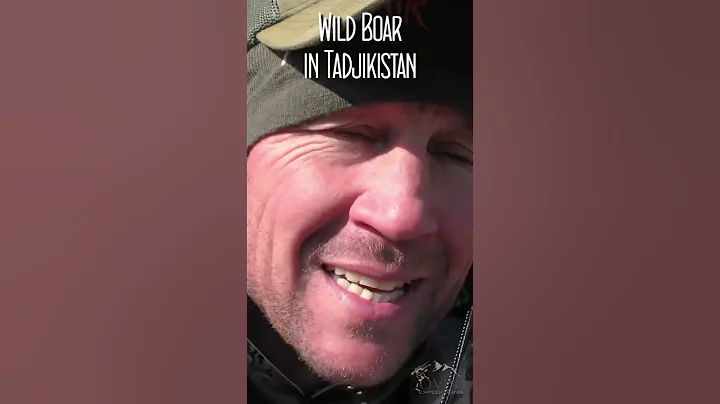 Wild boar in Tajikistan 🇹🇯 Attilas du Tajikistan 🐗 New video soon 🤫 #hunting #boar #blood