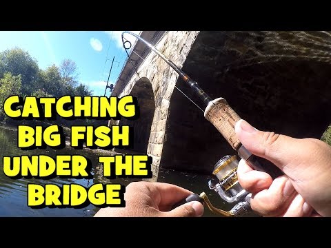 catching-big-fish-under-a-bridge!-(revenge-on-the-creek)