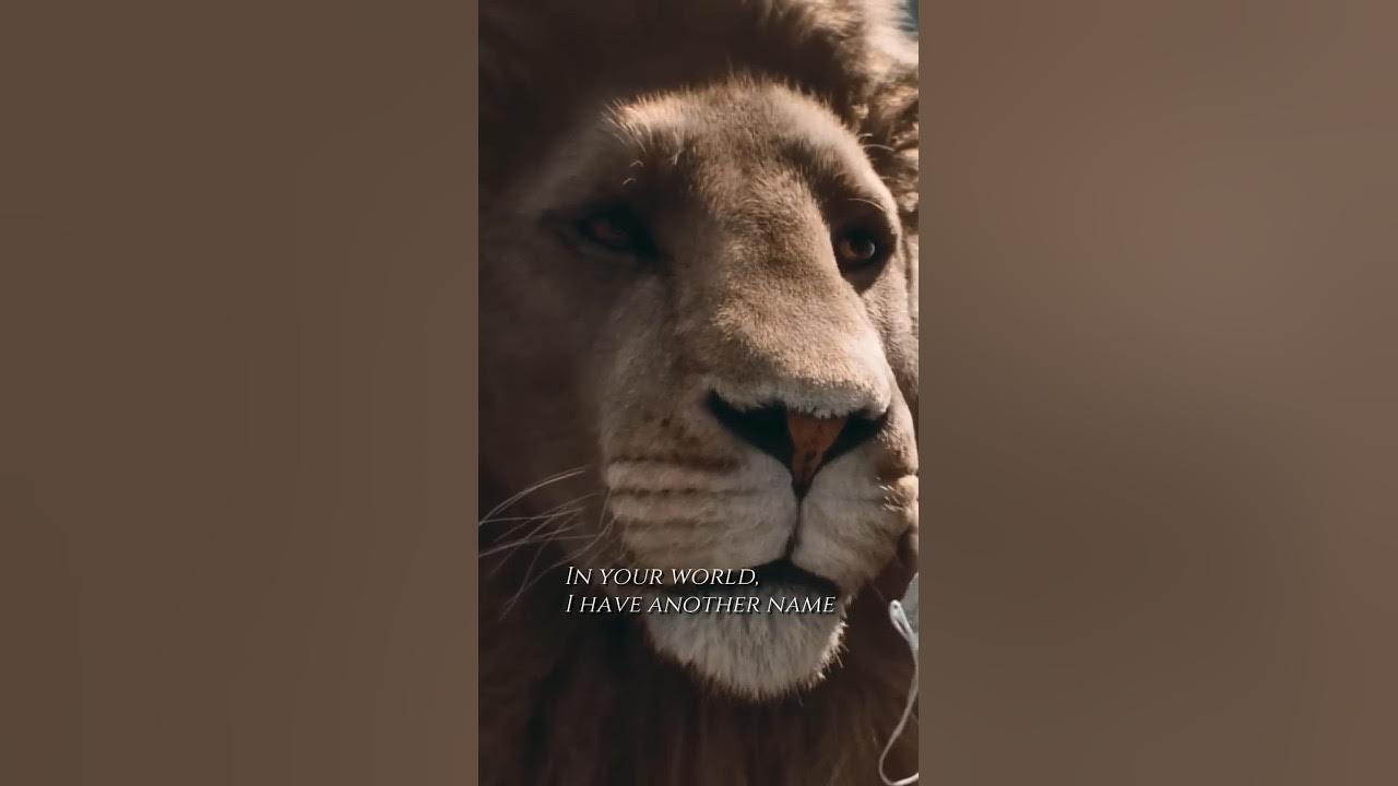 aslan from narnia voice｜TikTok Search