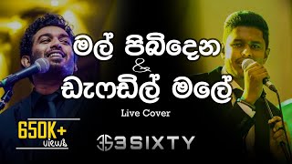 මල් පිබිදෙන & ඩැෆඩිල් මලේ | Mal Pibidena & Daffodil Male | Live Cover by 3Sixty