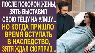 Зять-вдовец выставил свою тёщу на улицу. Но когда он решил вступить в наследство, то застыл в шоке.