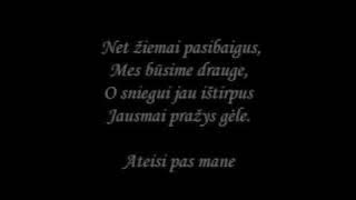 Ex's - ledine gele [daina su zodziais]