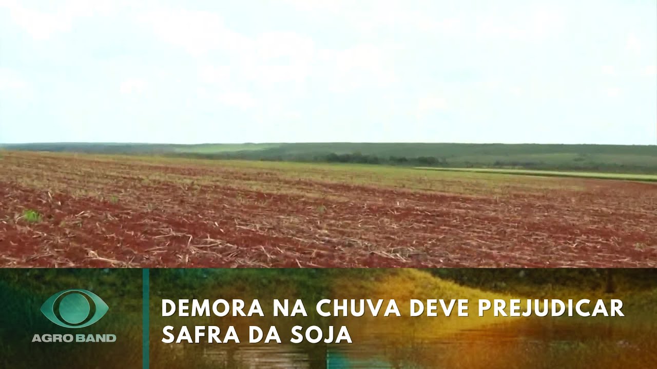 Demora na chuva deve prejudicar safra de soja