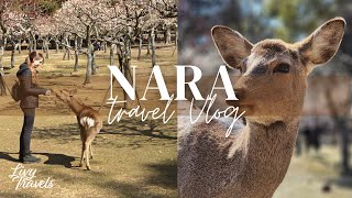 🦌 Feeding Deer in Nara Park | Japan Travel Vlog