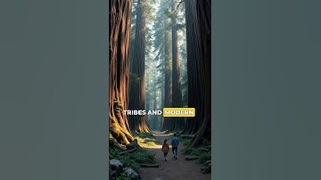 The Whispering Giants of the Redwood Forest