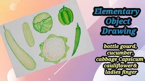 elementary object drawing# elementary fruit  drawing#object drawing elementary drawing#intermediate