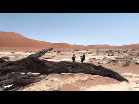 Video: 31 Surrealistische Afbeeldingen Van Dead Vlei, Namibië 