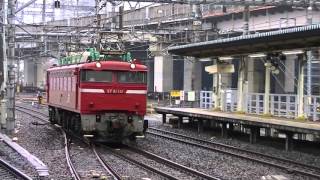 EF81-141〔長岡〕単機　大宮10番線(ホームのない中線)入線