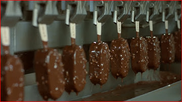 Modern Food Processing Technology with Cool Automatic Machines That Are At Another Level