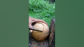Super technique removing coconut from its shell
