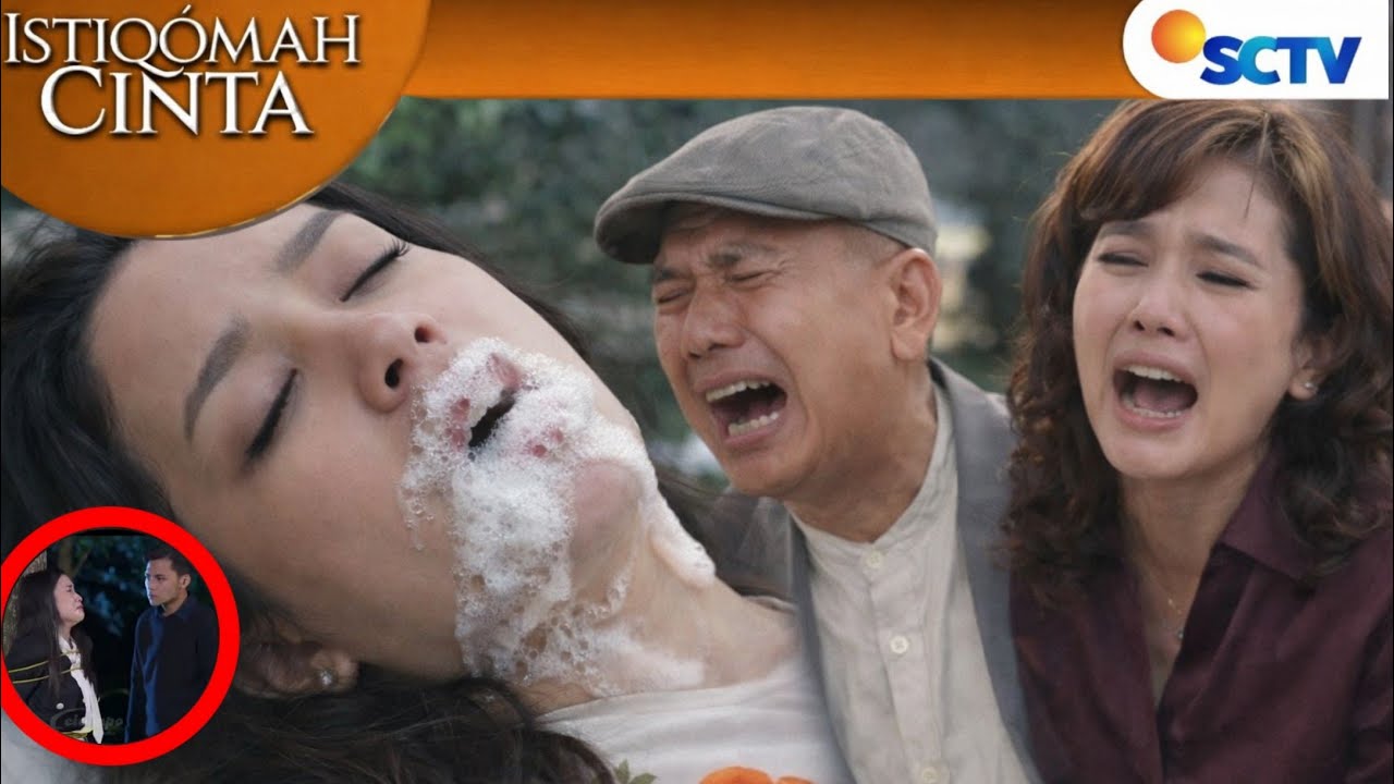 ИСТИКОМА ЛЮБИТ SCTV СЕГОДНЯ