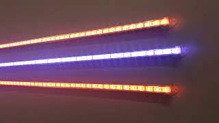 FITA DE LED RGB COM CAPA TRANSPARENTE