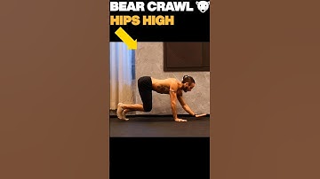 👆🏾5 Most GOATED Animal Movement Patterns (🐻‍❄🦍🦧🦒🦎) DESCRIPTION👉🏾 #animalmovement #primalmovement