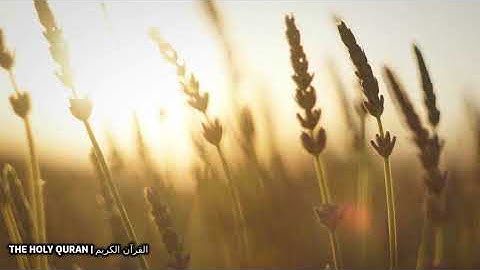 #سورو_الحجر  بصوت القارئ اسامة صبحي حسين #قرآن #تلاوة #القرآن_الكريم #القرآن #القران_الكريم #تلاوة